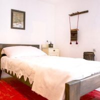 Planinska kuća Debelo Brdo