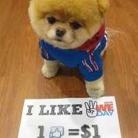 Boo, najslađi pas na svijetu