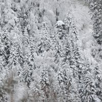 Snježna idila na Sljemenu