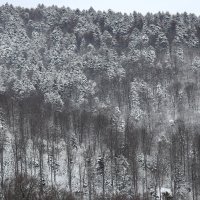 Snježna idila na Sljemenu