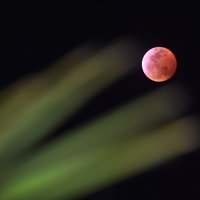 Krvavi Mjesec iznad Las Vegasa