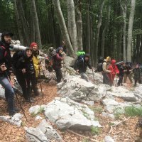 Velebit
