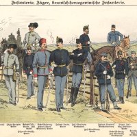 Bosansko-hercegovačke trupe u carskoj vojsci