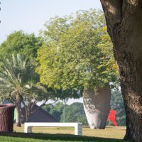 Pametne klupe u Dohi