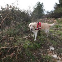 Pas Casper i HGSS-ovac Ivica Galac