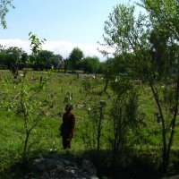 Groblje u Afganistanu