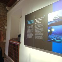 Šibenik: U noći muzeja posjetitelji uživali u razgledavanju eksponata i dobroj hrani