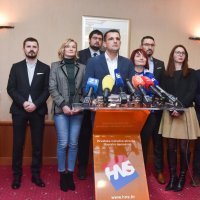 HNS predstavio odluku o izlasku stranke na izbore za Europski parlament
