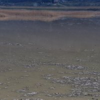 Veliki dijelovi poljoprivrednih površina raške doline pod vodom