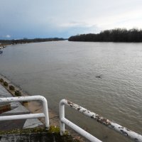 Slavonski Brod: Vodostaj Save u zamjetnom porastu