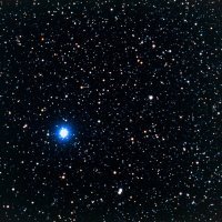 Vega