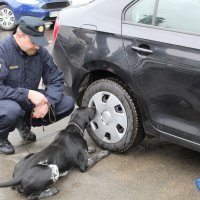 Inspektor Duks u akciji