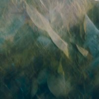 Turopoljski pejzaž, 2018.