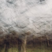 Slavonski pejzaž, 2018.