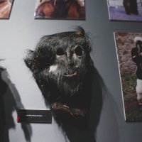 Izložba 'Crveni pijetao - crna kokoš'