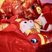 Kineska godina svinje