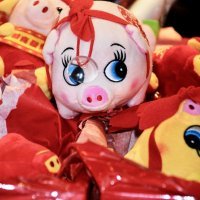 Kineska godina svinje