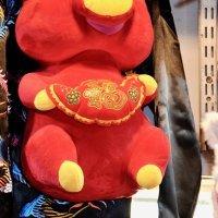 Kineska godina svinje