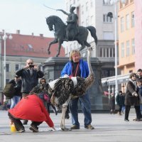 Noj Francelj i njegov vlasnik Janez