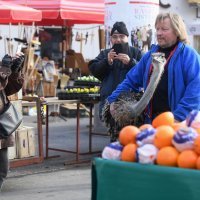 Noj Francelj i njegov vlasnik Janez