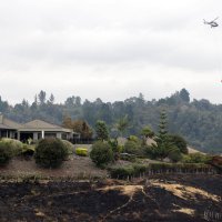 Požar na Novom Zelandu