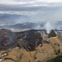 Požar na Novom Zelandu