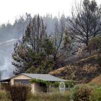 Požar na Novom Zelandu