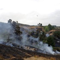 Požar na Novom Zelandu