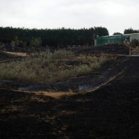 Požar na Novom Zelandu