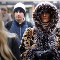 Hladno i vjetrovito u Zagrebu