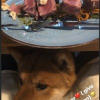 Franka Batelić i Vedran Ćorluka