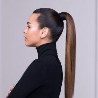 The Polished Ponytail