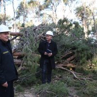 U Splitu započeli radovi u Park šumi Marjan