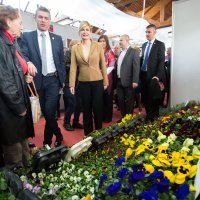 Osječki proljetni sajam