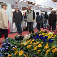 Osječki proljetni sajam