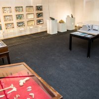 Hrvatski prirodoslovni muzej