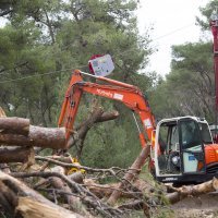Damir Krstičević na Marjanu