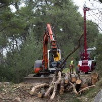 Damir Krstičević na Marjanu