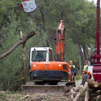 Damir Krstičević na Marjanu