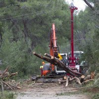 Damir Krstičević na Marjanu