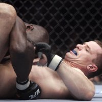 Cheick Kongo i Mirko Filipović