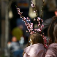 Zagreb: Lijepo sunčano vrijeme izvuklo građane na ulicu