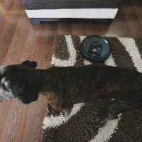 iRobot Roomba (11)
