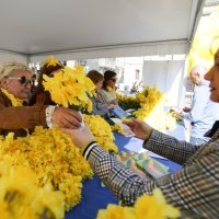 Zagreb: Brojne udruge u centru grada obilježile Međunarodni dan narcisa
