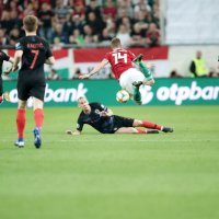 Mađarska - Hrvatska (Domagoj Vida)