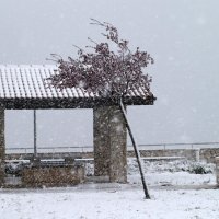 Snijeg zabijelio Zagvozd