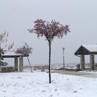 Snijeg zabijelio Zagvozd