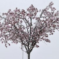 Snijeg zabijelio Zagvozd