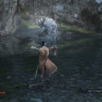 Sekiro: Shadows Die Twice