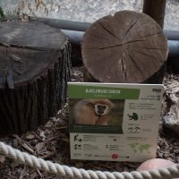 Preuređeni paviljon Duh monsunskih šuma u Zagrebačkom Zoološkom vrtu